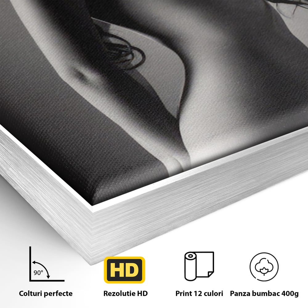 Detaliu al suprafetei: tablou canvas cu silueta de femeie, in rama de aluminiu argintiu